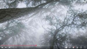 Melodeep I Don T Care Music Video