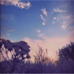 Sunbyonic Hidden Love