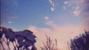 Sunbyonic Hidden Love